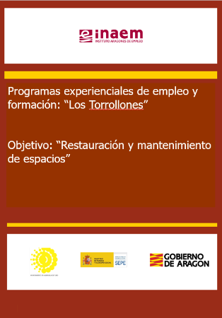 Programa Experiencial Los Torrollones: avanzamos hacia la fase 3